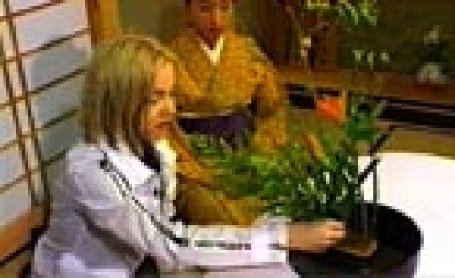 promojapon_31.jpg